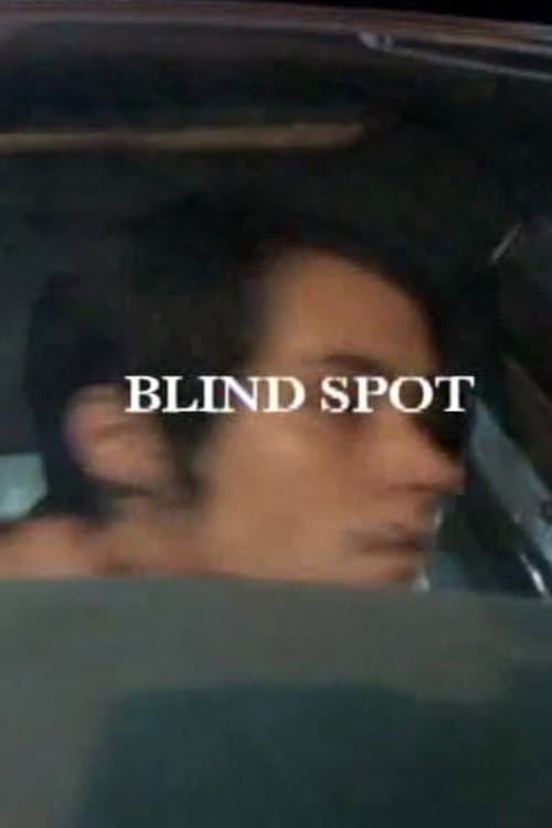 Poster for Blind Spot