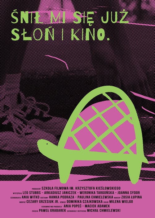 Poster for Ravik the Steppe Turtle