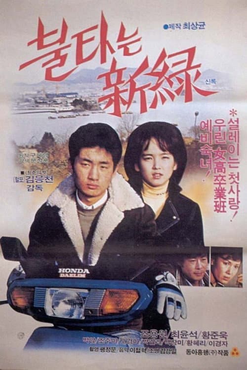 Poster for A Country Affair
