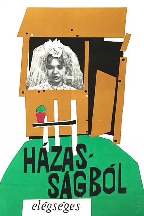 Poster for Házasságból elégséges