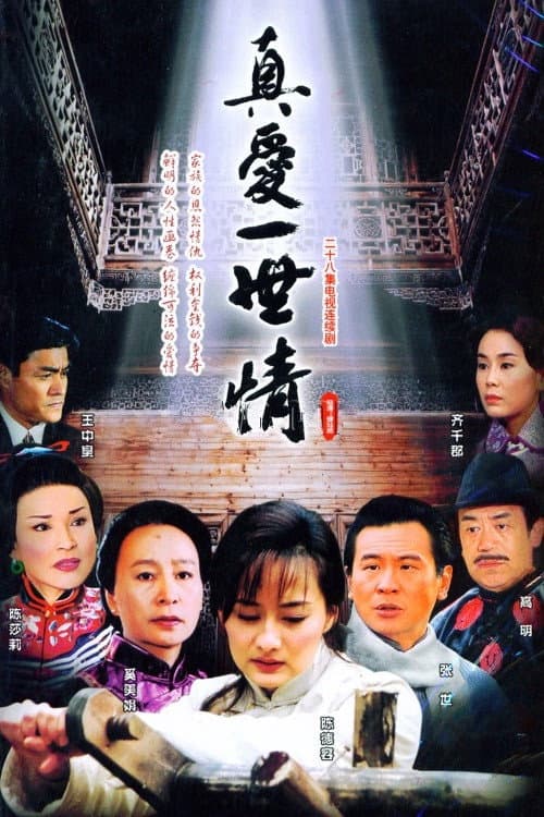 Poster for 真爱一世情