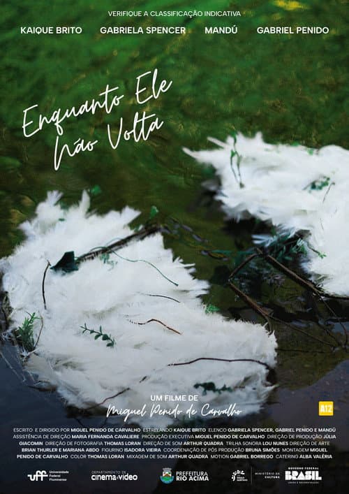 Poster for Enquanto Ele Não Volta