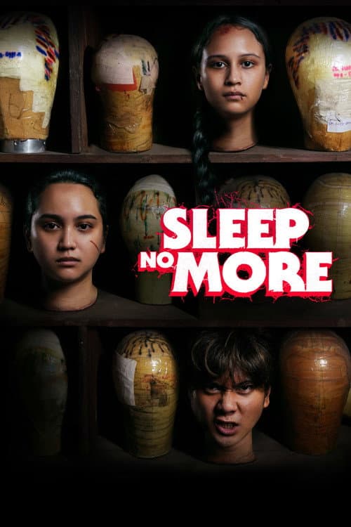 Poster for Sleep No More