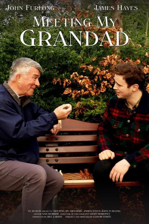 Poster for Meeting My Grandad