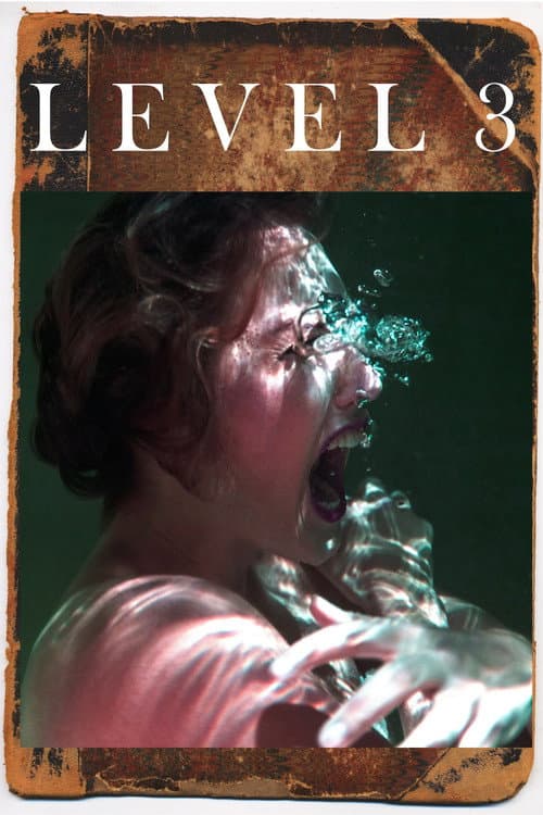 Poster for Level 3
