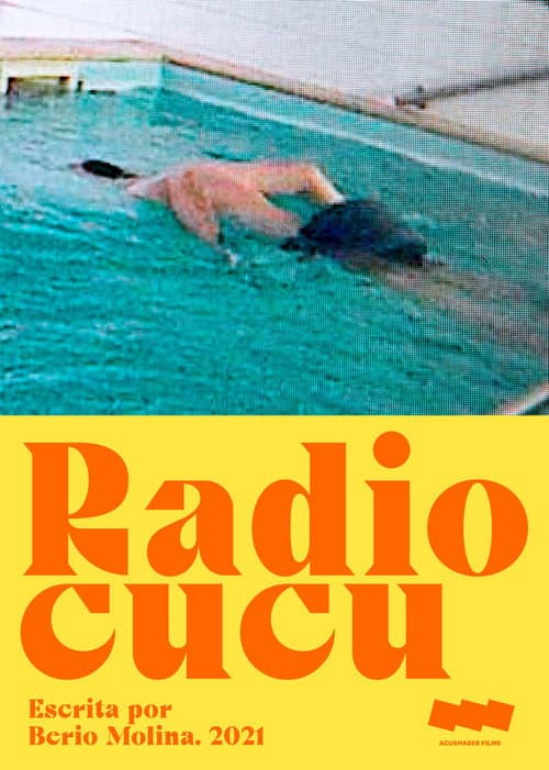 Poster for Radio cu cu