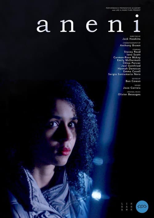 Poster for Aneni