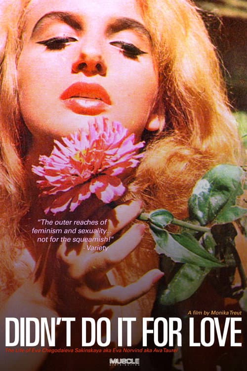 Poster for Didn't Do It For Love