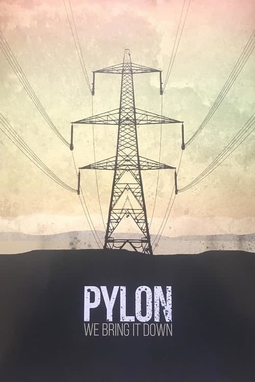 Poster for Pylon