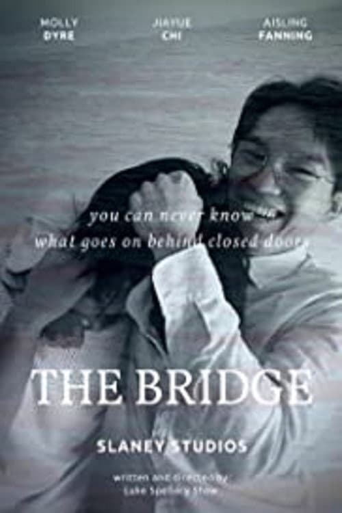 Poster for The Bridge