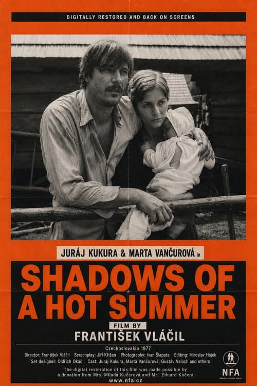 Poster for Shadows of a Hot Summer