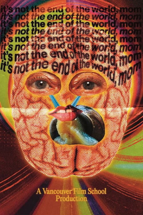 Poster for It's Not the End of the World, Mom