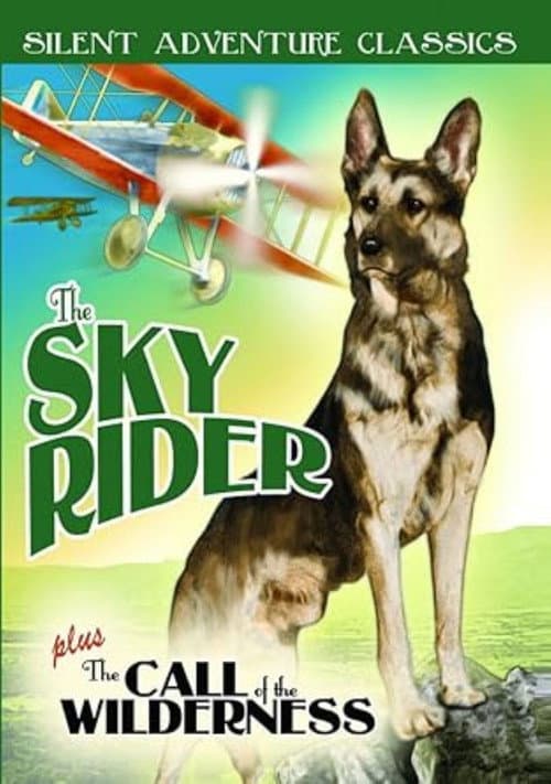 Poster for The Sky Rider