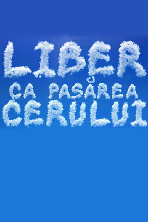 Poster for Liber ca pasărea cerului