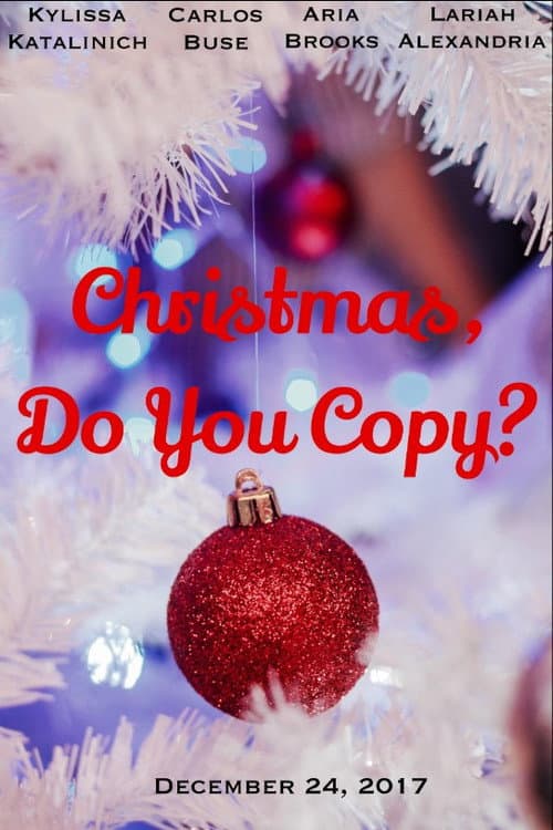 Poster for Christmas, Do You Copy?