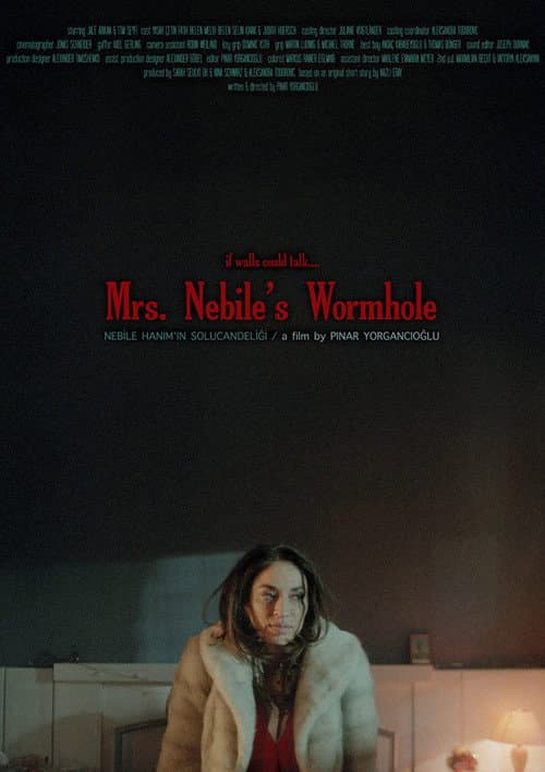 Poster for Nebile Hanım'ın Solucan Deliği