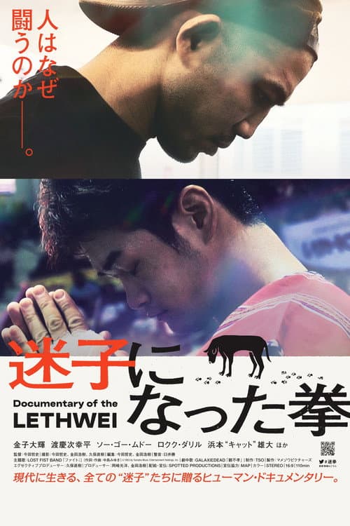 Poster for Lost Fist