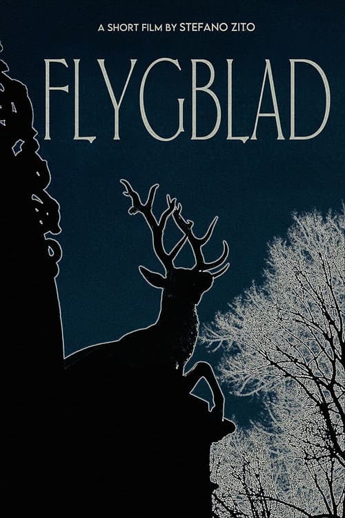 Poster for Flygblad