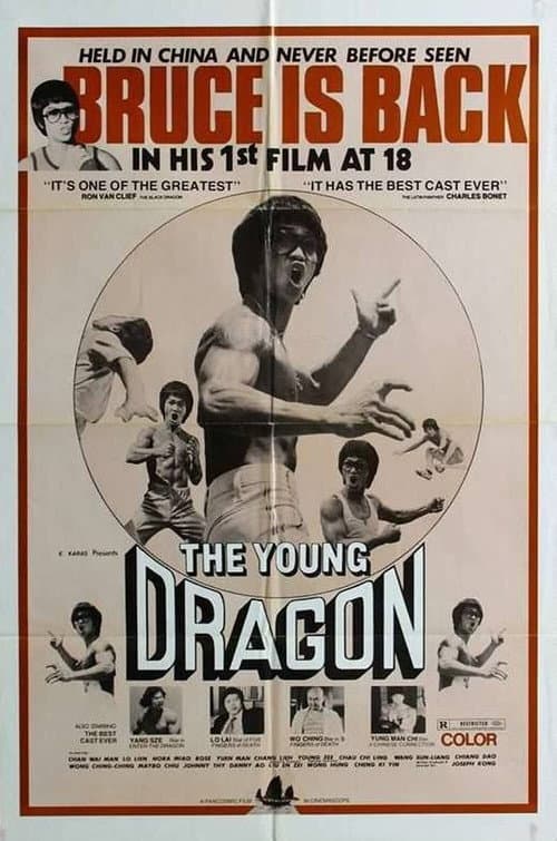 Постер до фільму «Young Dragon»