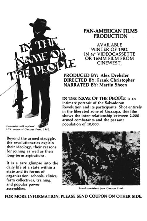 Poster for In the Name of the People