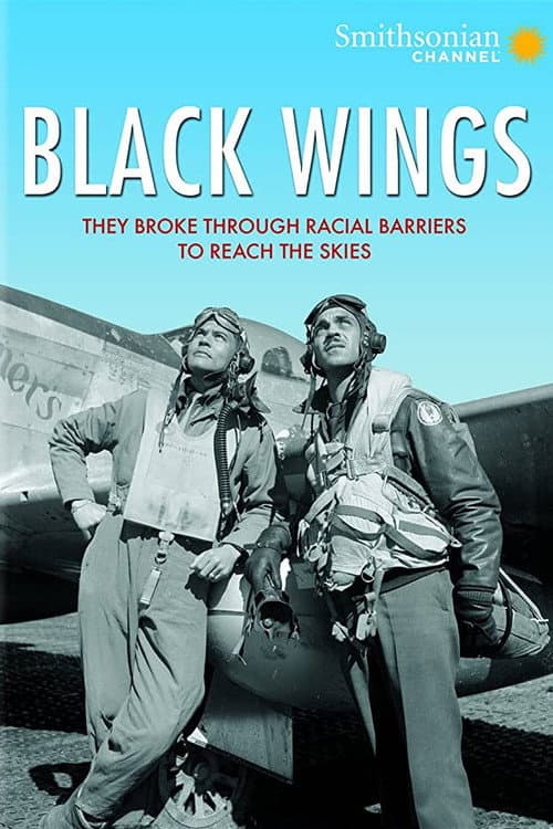 Poster for Black Wings