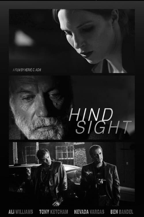 Poster for Hindsight