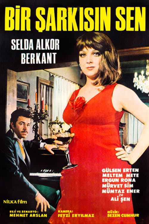 Poster for Bir Şarkısın Sen