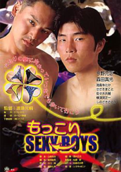 Poster for The Silk & The Secrets