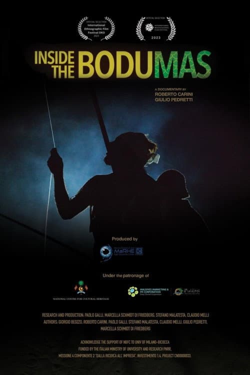 Poster for Inside the BoduMas