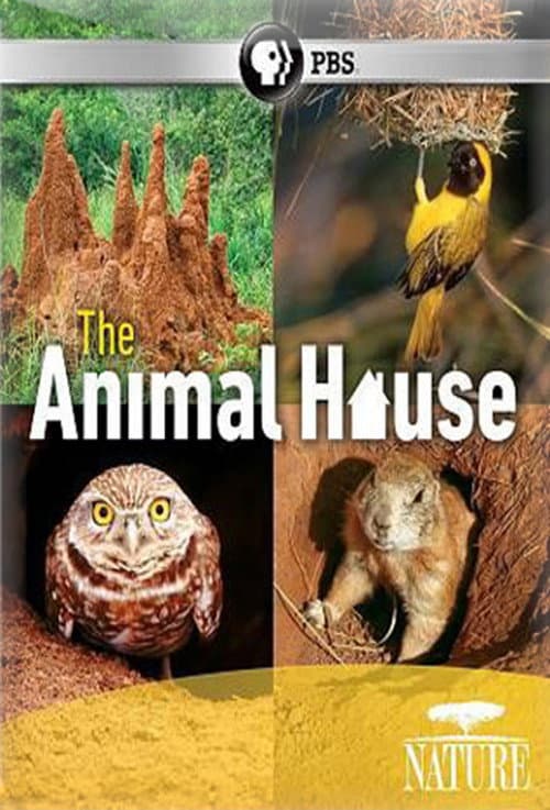 Poster for The Animal House