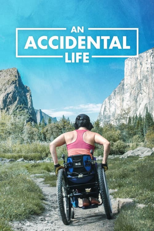 Poster for An Accidental Life