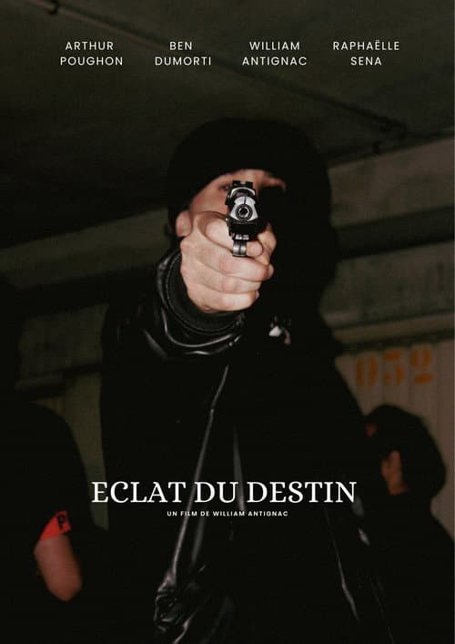 Poster for Éclat du destin