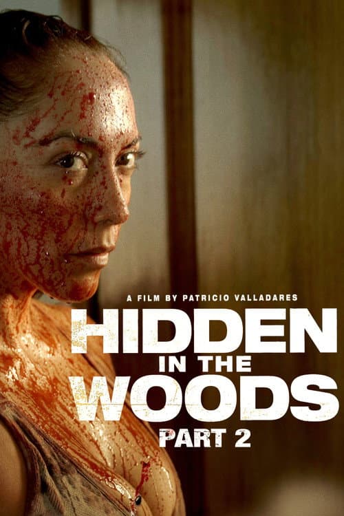 Poster for Hidden in the Woods 2