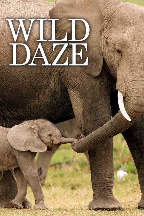 Poster for Wild Daze