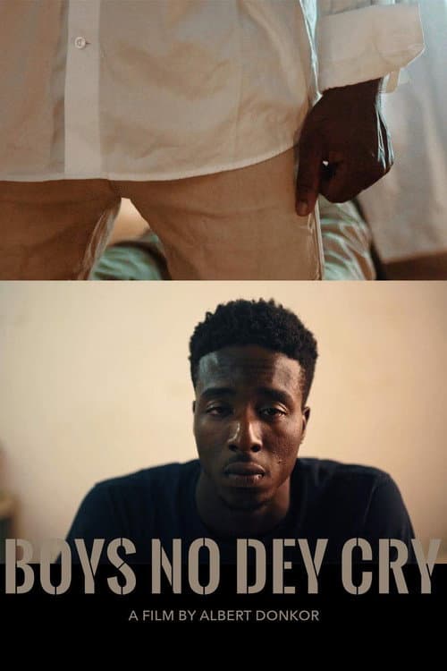 Poster for Boys No Dey Cry