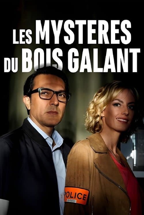 Poster for Murder In Rochefort