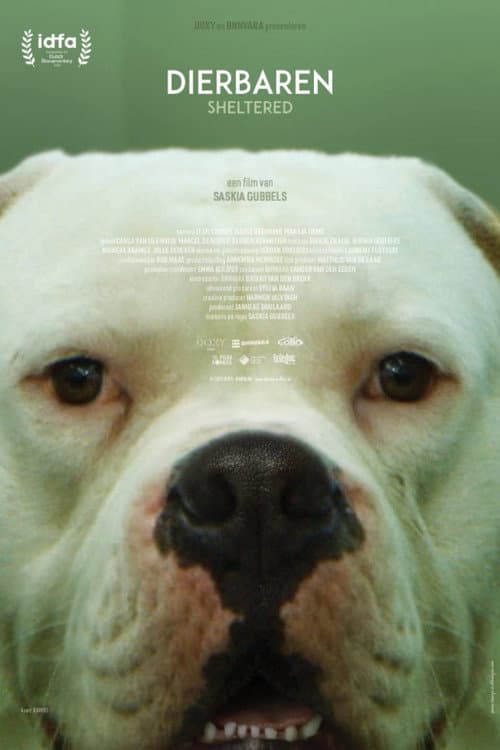 Poster for Sheltered
