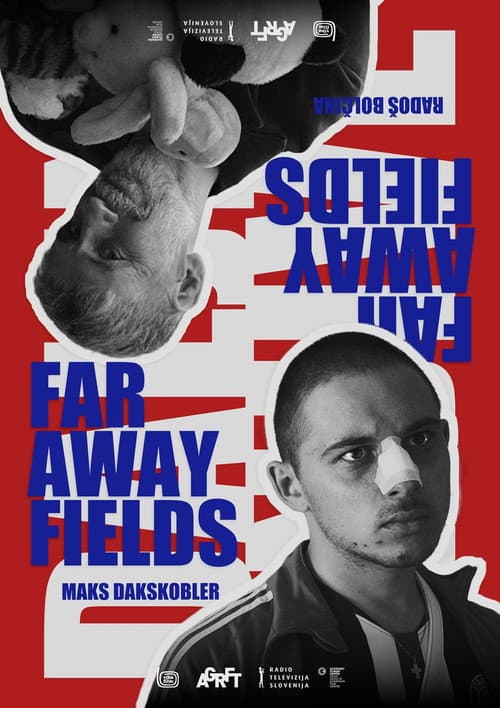 Poster for Faraway Fields