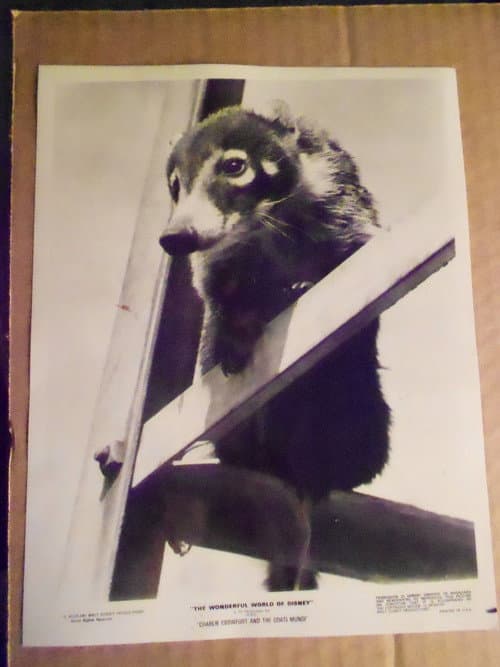 Poster for Charlie Crowfoot and the Coati Mundi