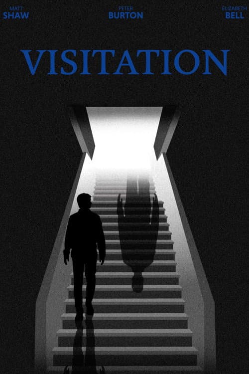 Poster for Visitation