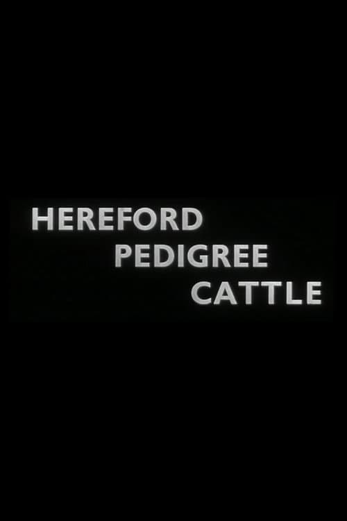 Poster for Hereford Pedigree Cattle