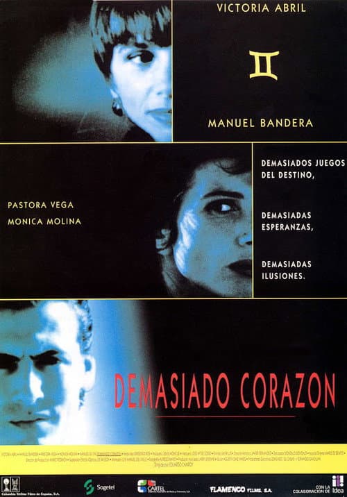 Poster for Too Much Heart