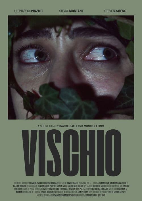 Poster for Vischio