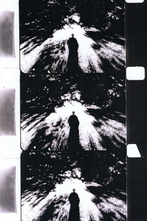 Poster for Imaginary Light