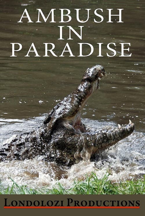 Poster for Ambush in Paradise
