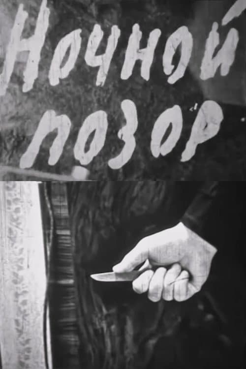 Poster for Nocturnal Shame