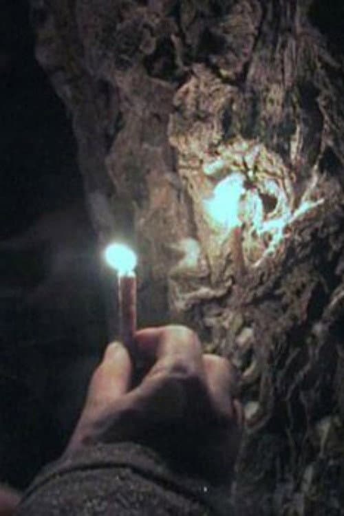 Poster for Through the Needles of Coniferous Trees