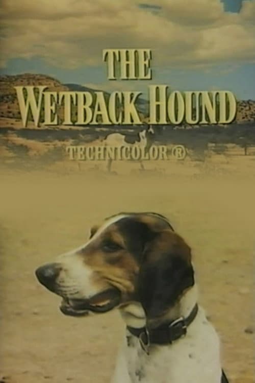 Poster for The Wetback Hound