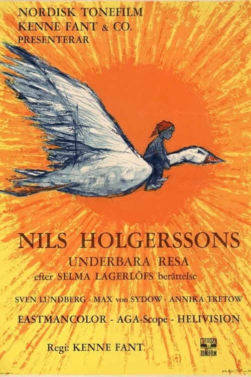 Poster for Wonderful Adventures of Nils