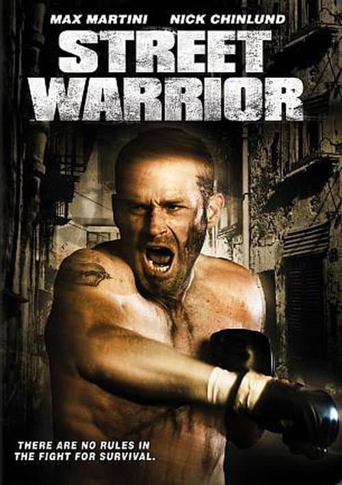 Poster for Street Warrior